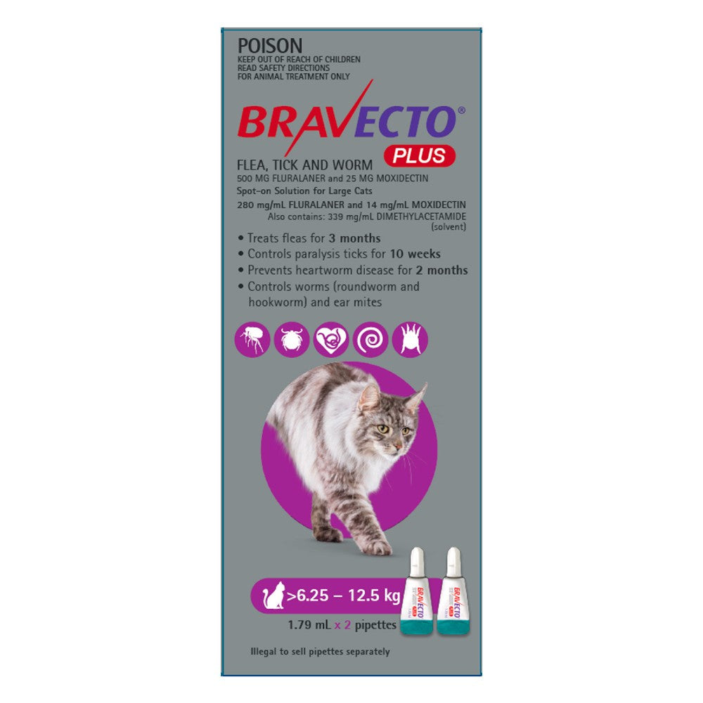 Bravecto Plus Large Cats 6.25-12.5kg Purple