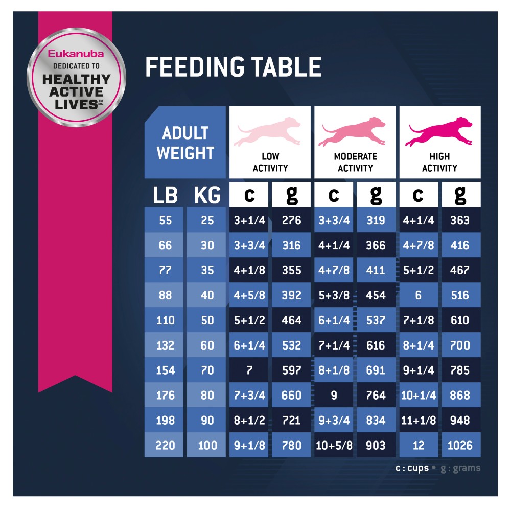 Eukanuba Senior 7+ Large Breed