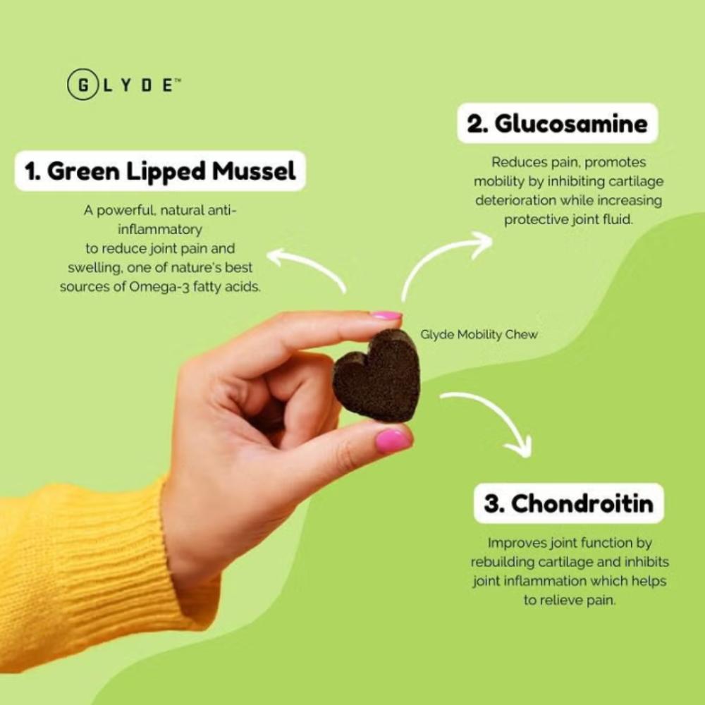 Glyde Mobility Chews