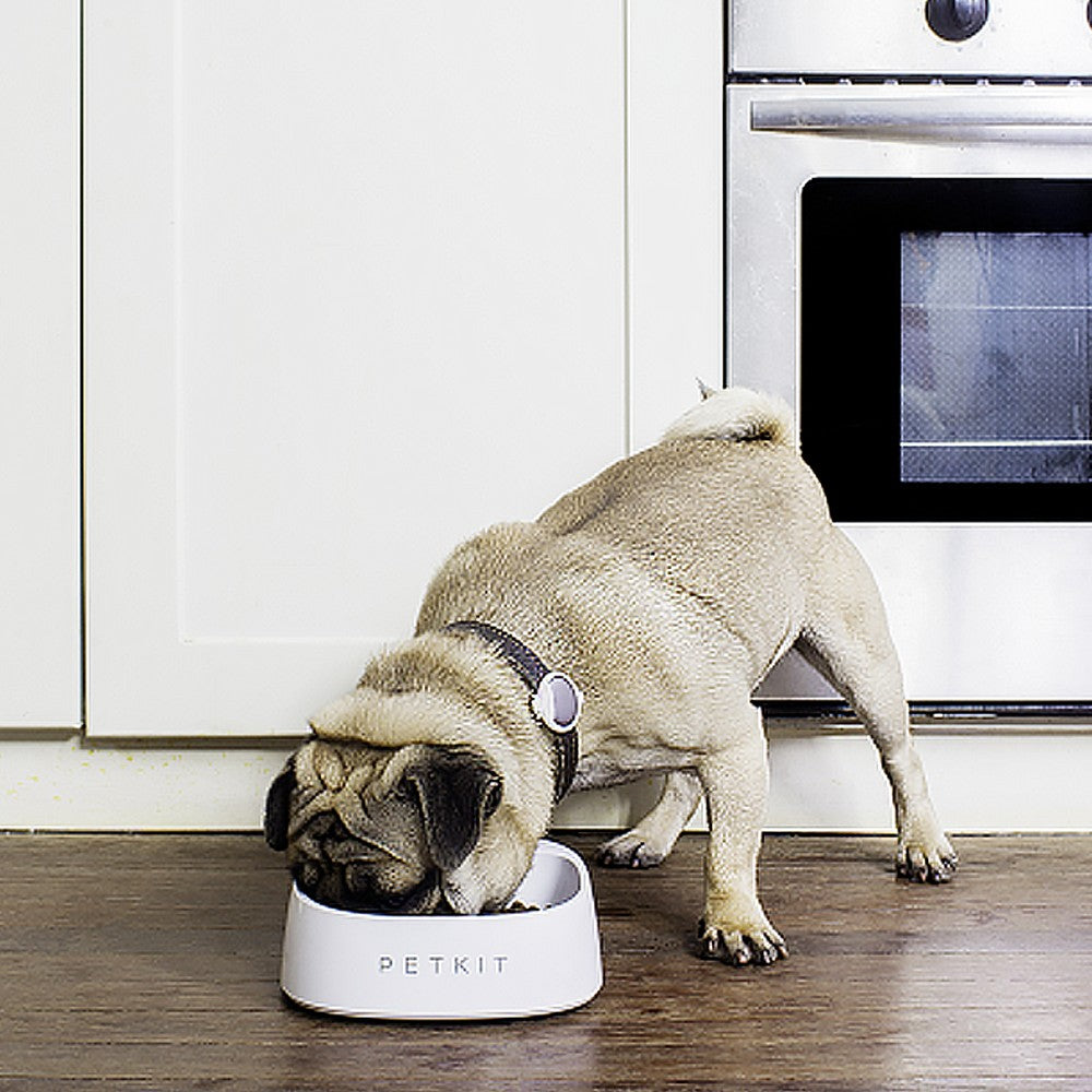 PetKit Fresh Smart Bowl White