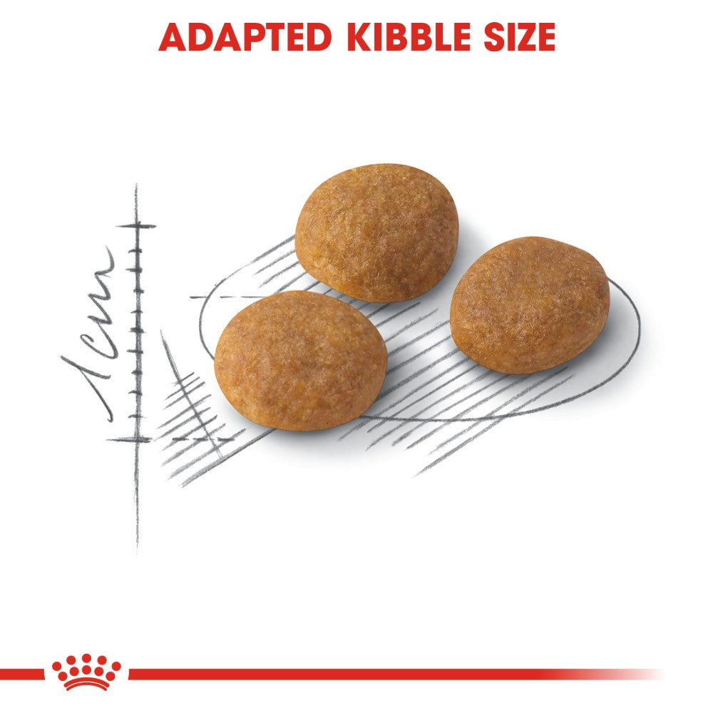 Royal Canin Adult Exigent Aroma