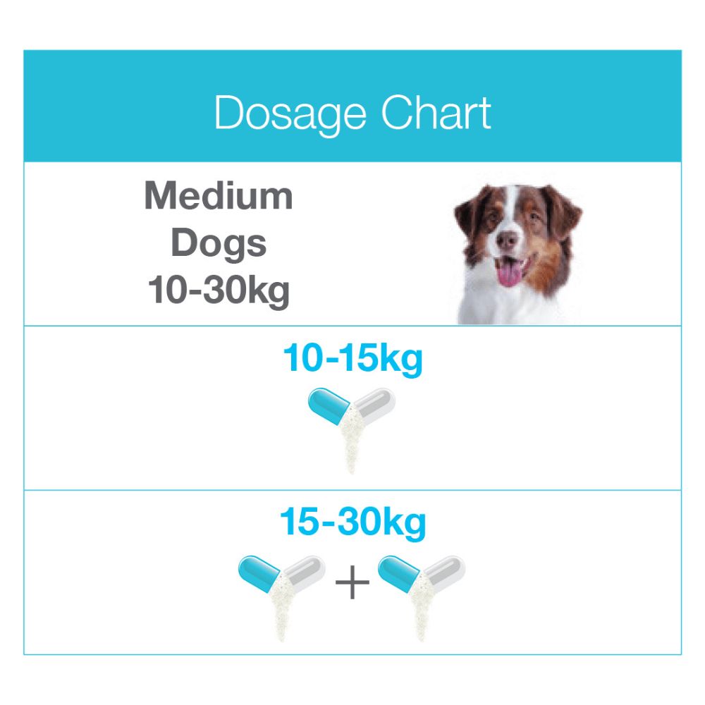 ZYLKENE MEDIUM DOG 10-30KG 225MG CAPSULES