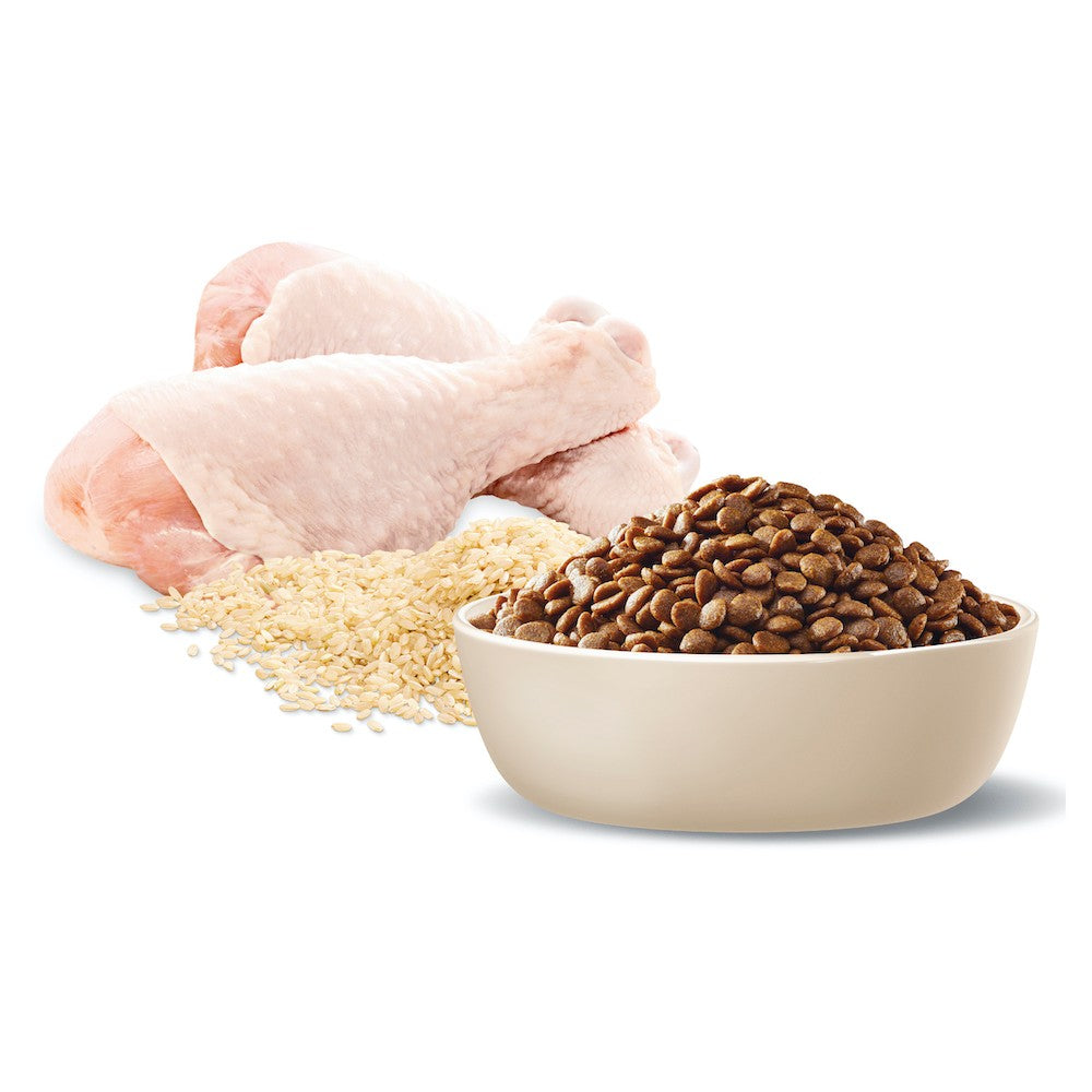 Advance Cat Adult Chicken