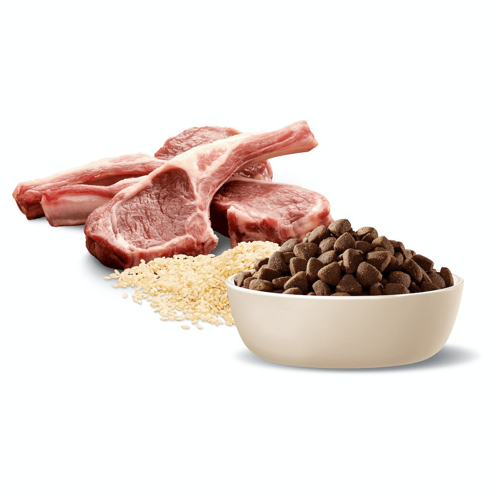 Advance Medium Breed Lamb