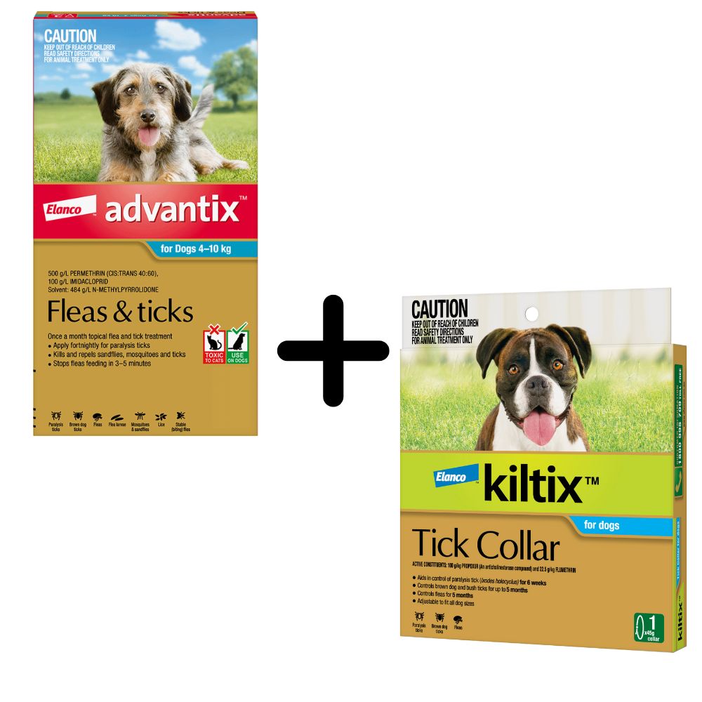 Advantix and Kiltix Bundle for Medium 4-10kg Teal