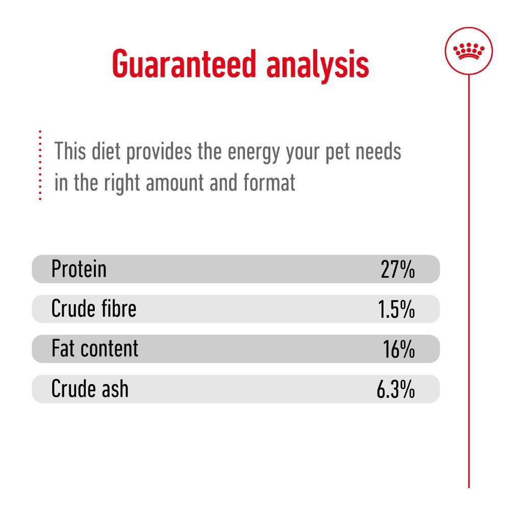 Royal Canin Mini 8+ Years