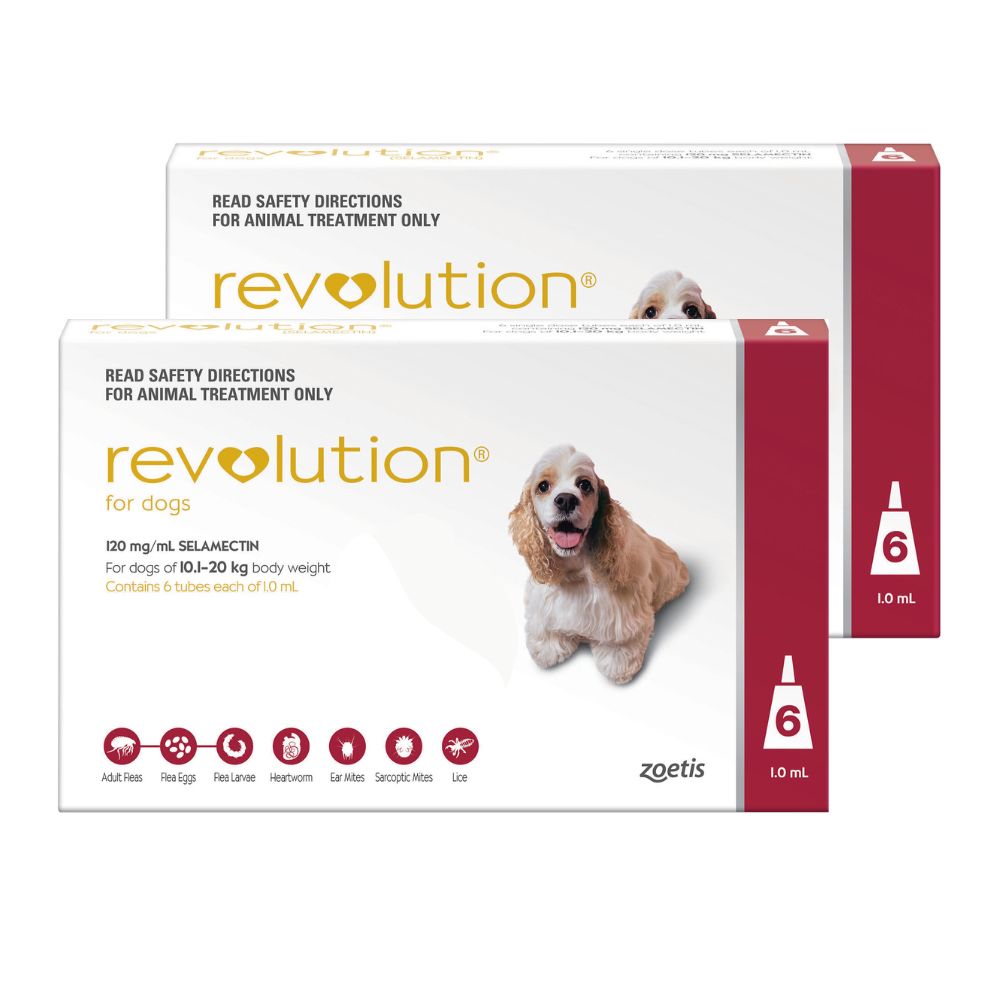 Revolution Red Medium 10-20kg