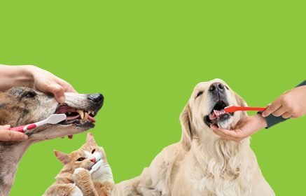 Easter Dental Delights