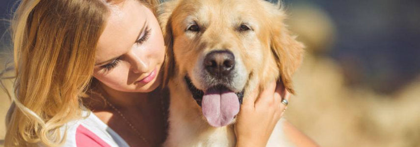 Can I hug my dog and still be the master?