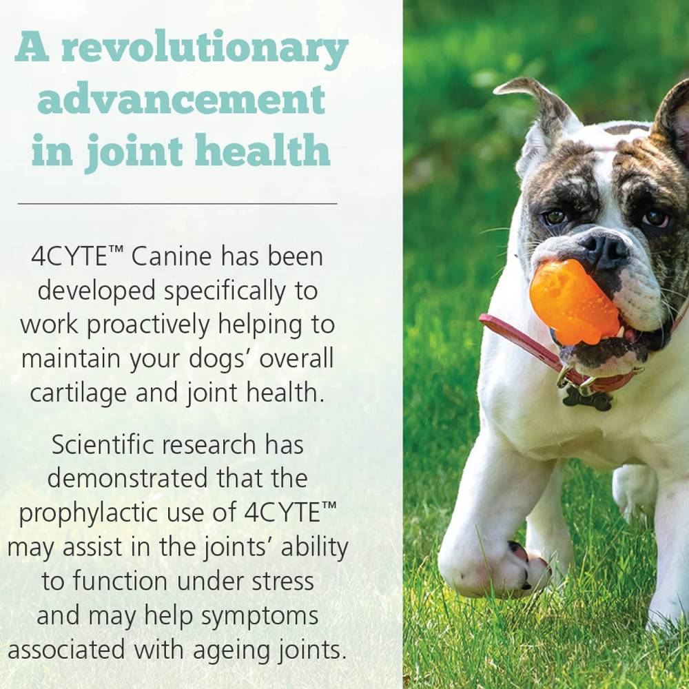4Cyte Canine Joint Supplement