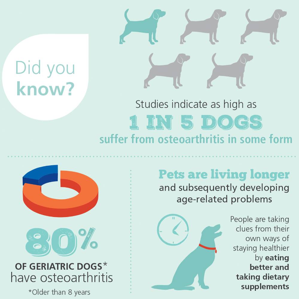 4Cyte Canine Joint Supplement