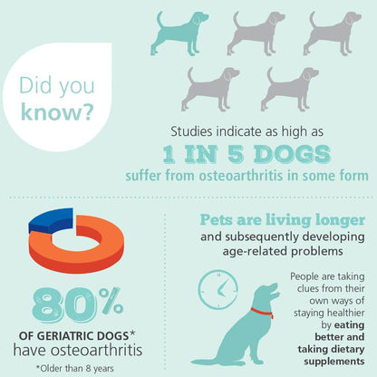 4Cyte Canine Joint Supplement