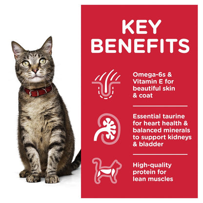 Hills Science Diet Adult Tender Chicken Cat Food Pouches