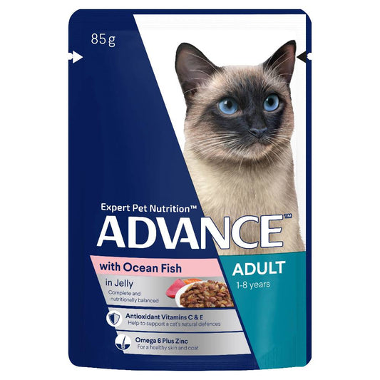 Advance Adult Ocean Fish in Jelly