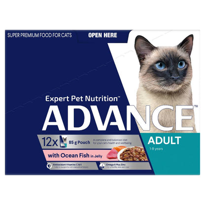 Advance Adult Ocean Fish in Jelly