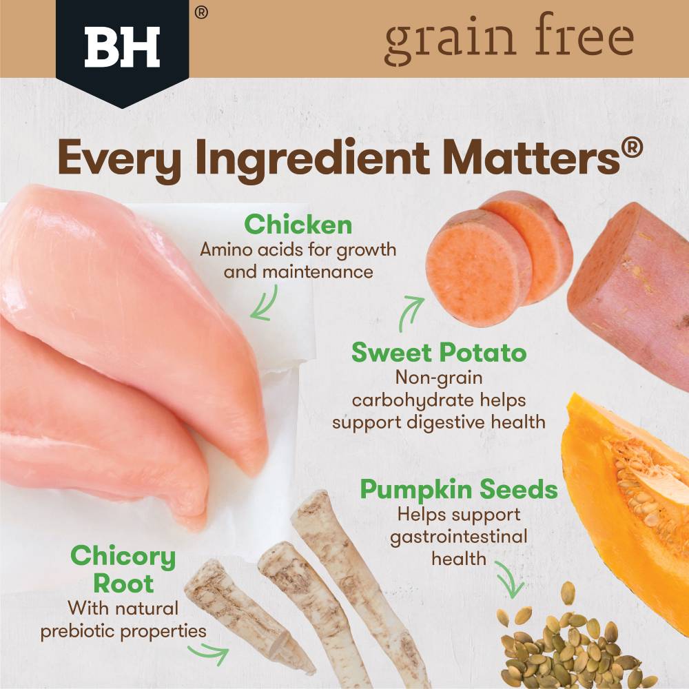 Black Hawk Dog Food Large Breed Adult Grain Free Chicken