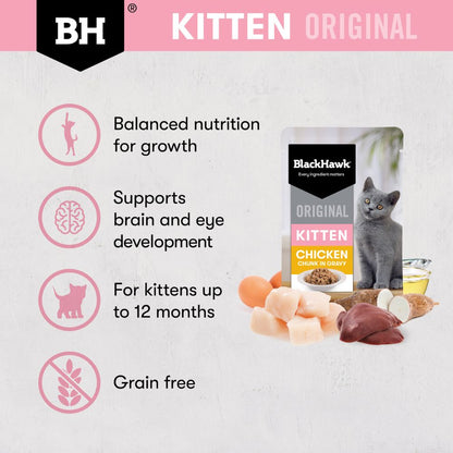 Black Hawk Kitten Chicken in Gravy Pouches