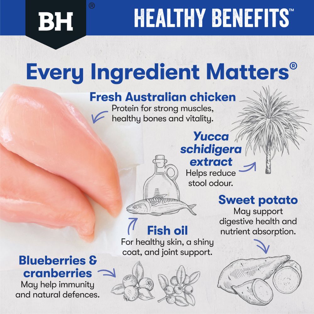 Black Hawk Dog Food Healthy Benefits Dental