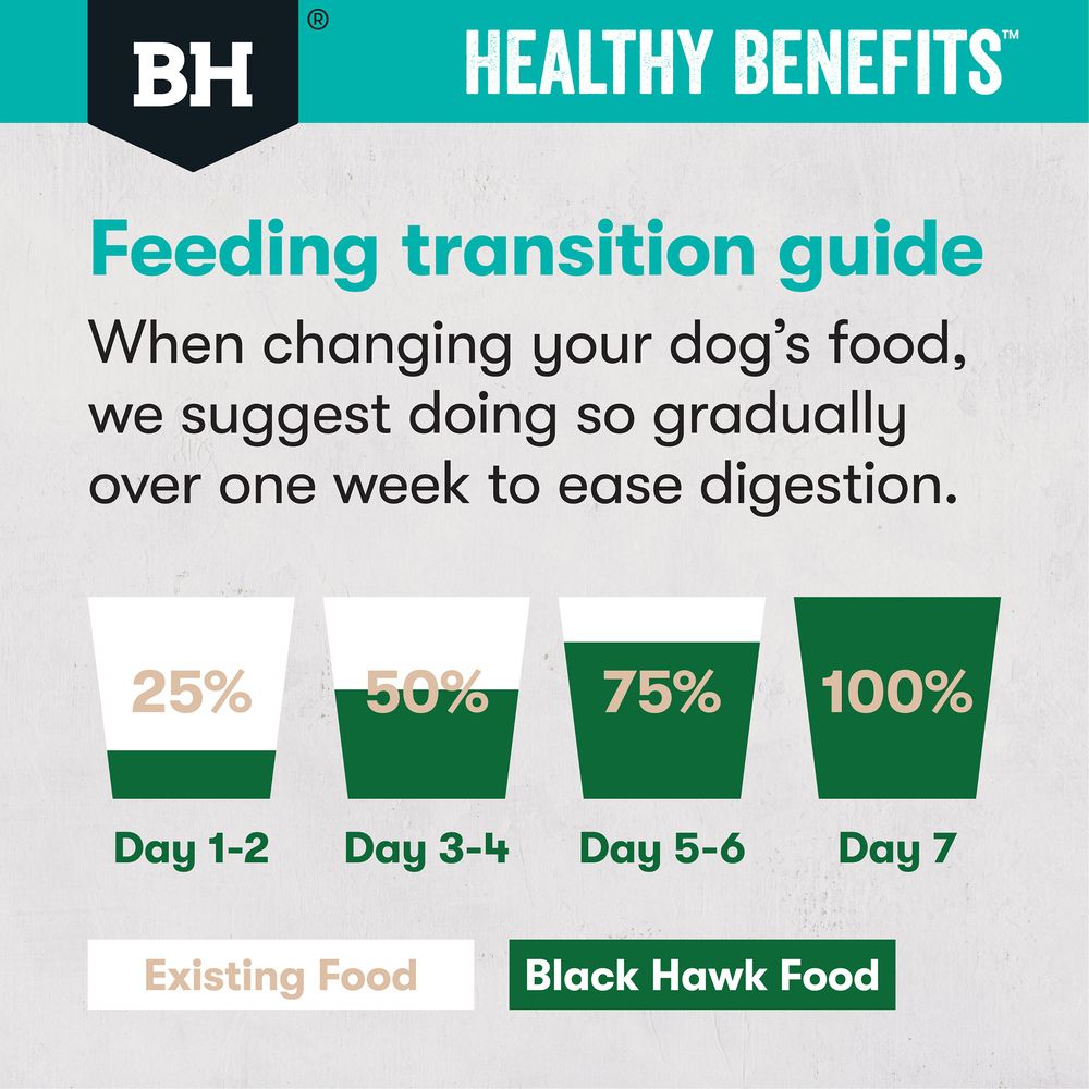 Black Hawk Dog Food Healthy Benefits Sensitive Skin and Gut