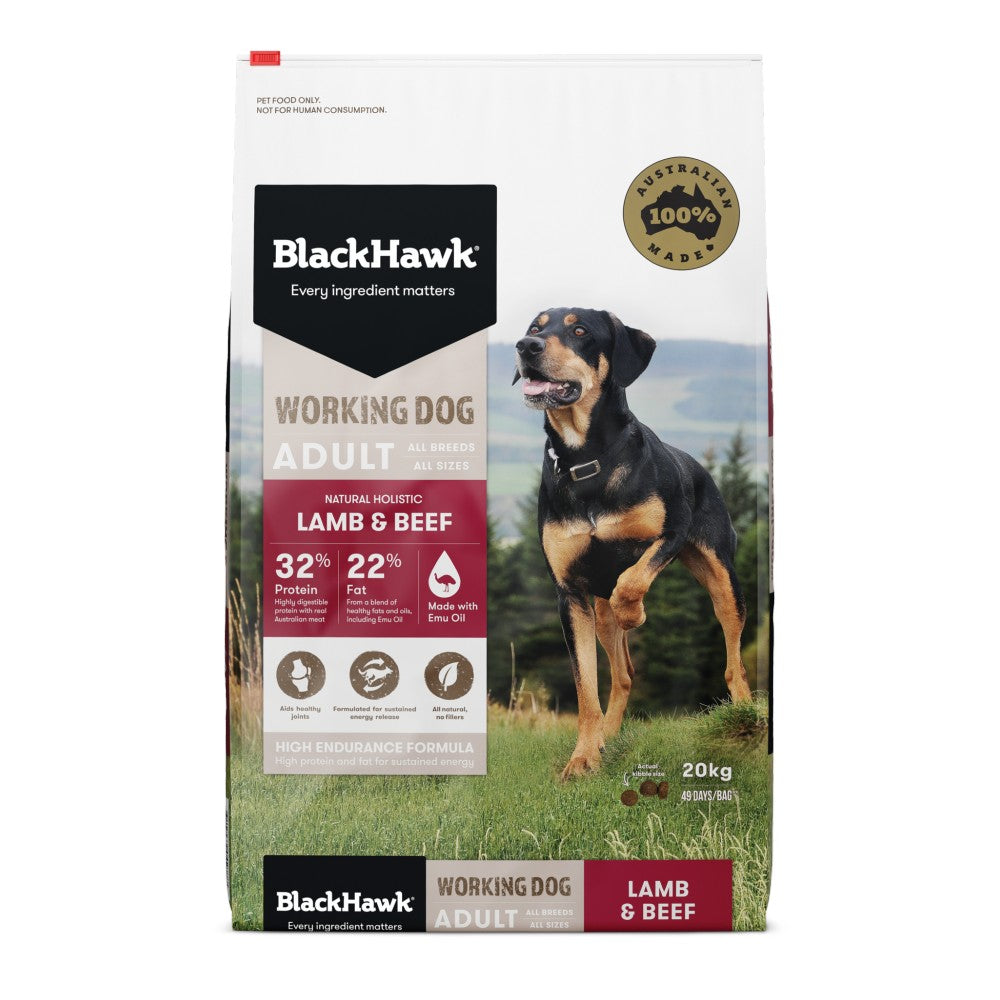 Black Hawk Working Dog