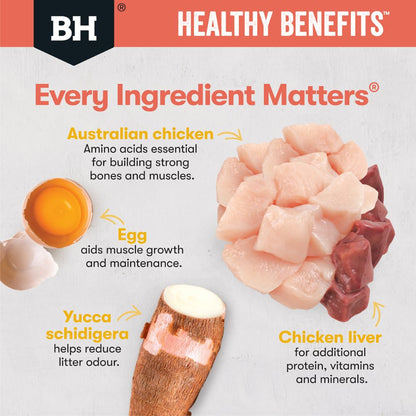 Black Hawk Adult Cat Healthy Benefits Indoor