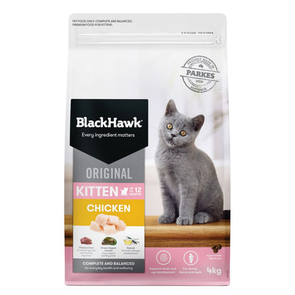 Black Hawk Kitten Chicken