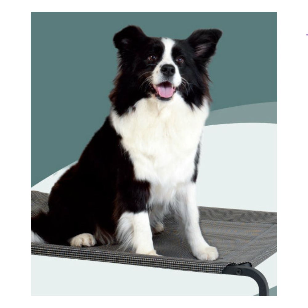 Cara Pet Elevated Trampoline Pet Bed