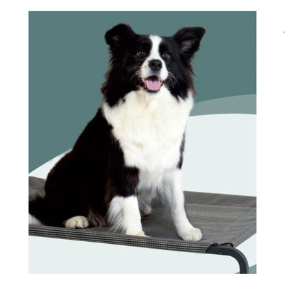 Cara Pet Elevated Trampoline Pet Bed