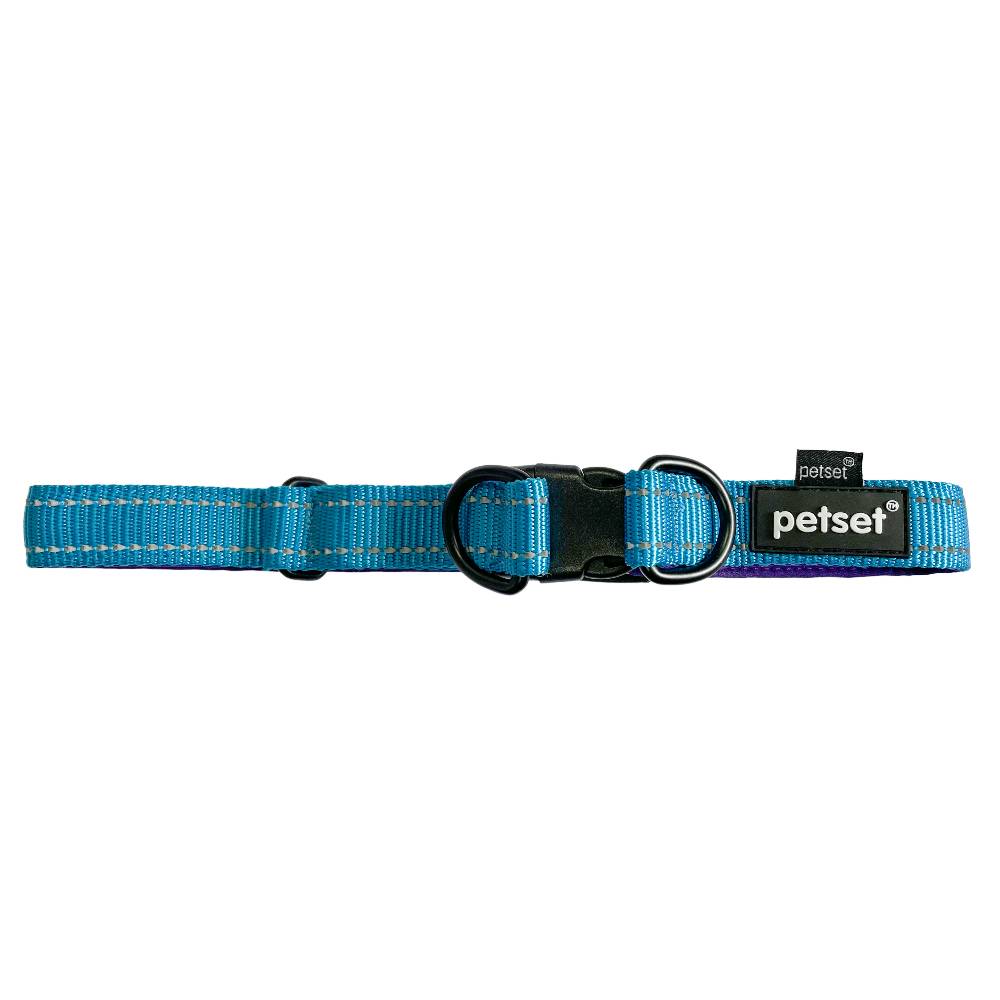 Petset Dog Collar Active Adjustable Blue and Purple