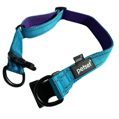 Petset Dog Collar Active Adjustable Blue and Purple