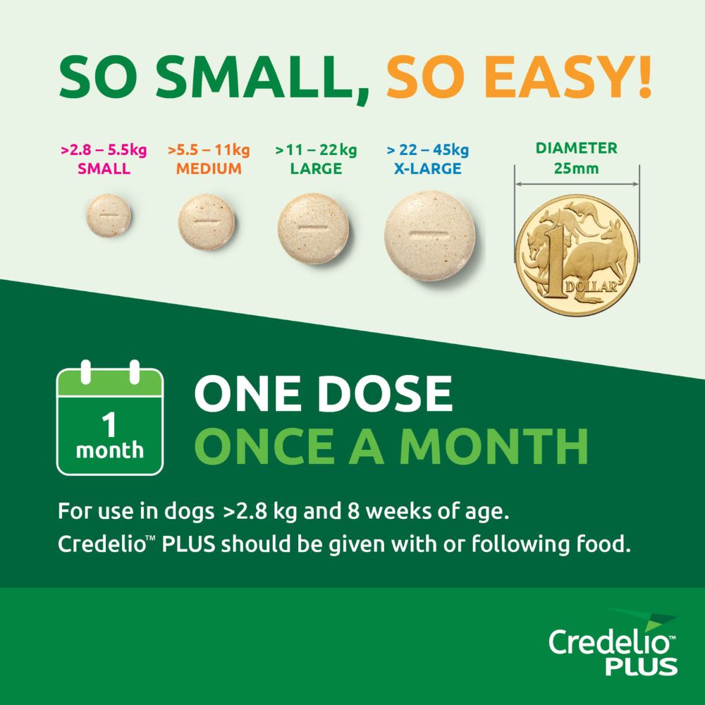 Credelio Plus Medium Dog 5.5-11kg