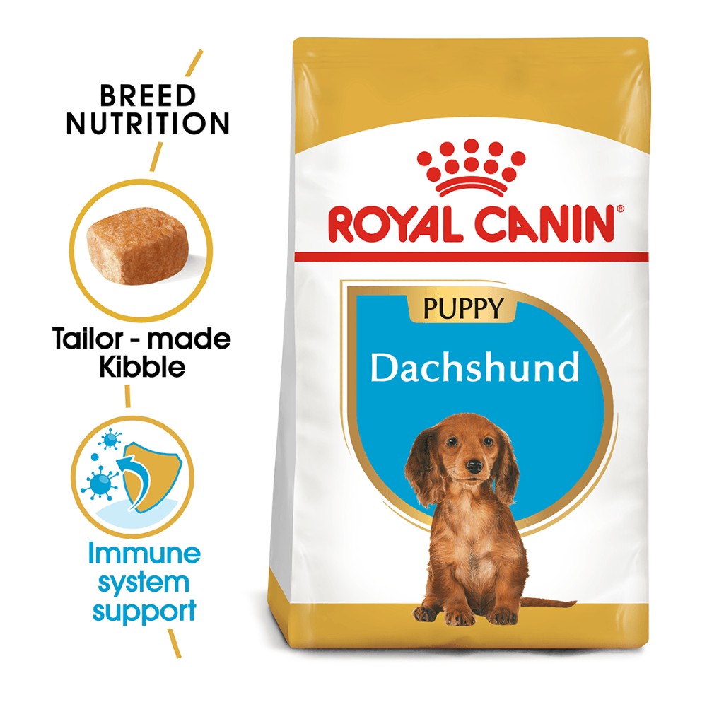Royal Canin Dachshund Puppy