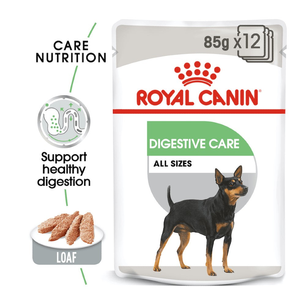 Royal Canin Digestive Care Loaf Pouches