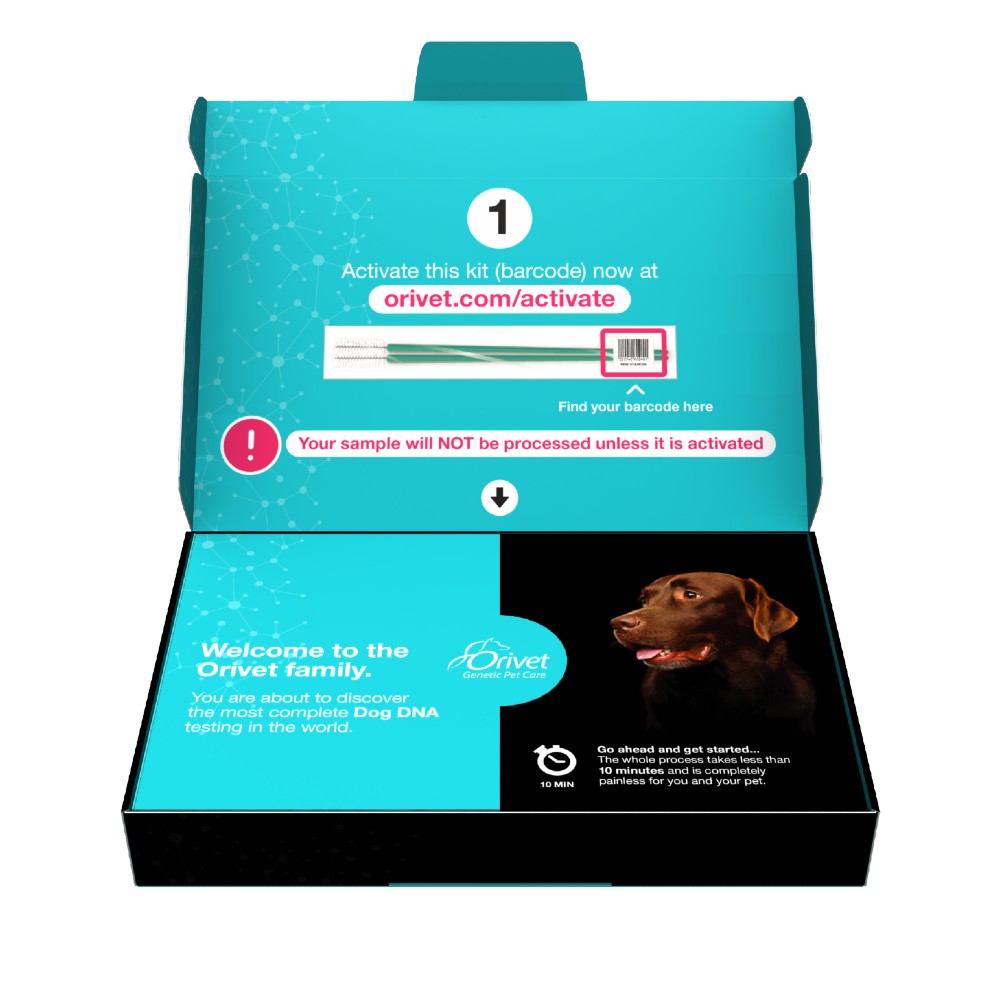 GenoPet 5.0 Dog DNA Test Kit