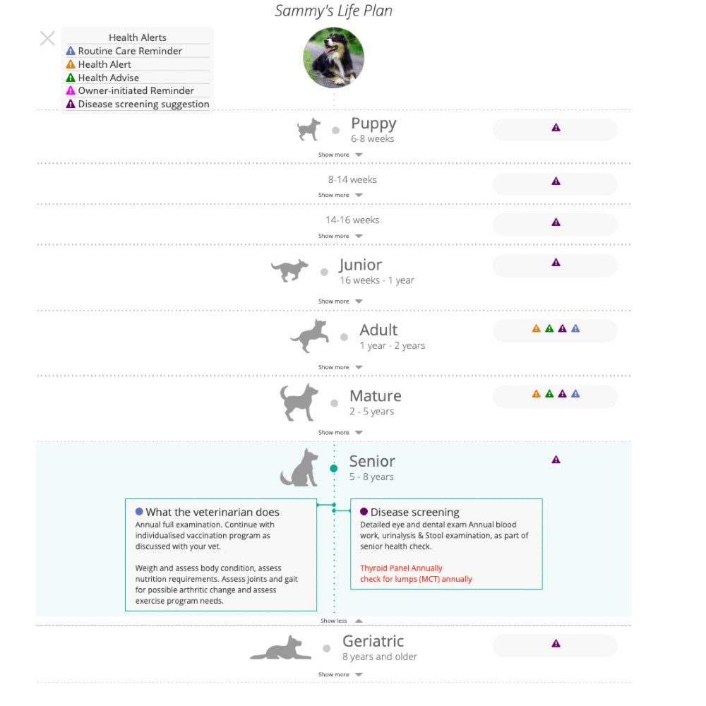 GenoPet 5.0 Dog DNA Test Kit