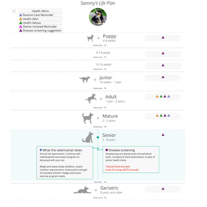 GenoPet 5.0 Dog DNA Test Kit