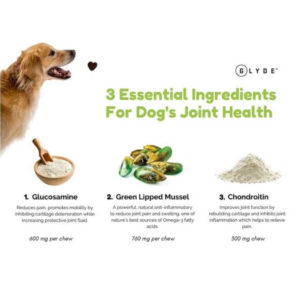 Glyde Mobility Chews