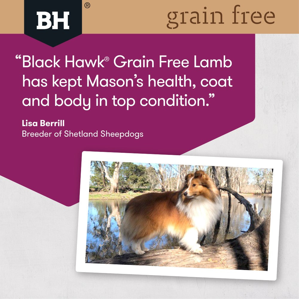 Black Hawk Adult Dog Food Grain Free Lamb