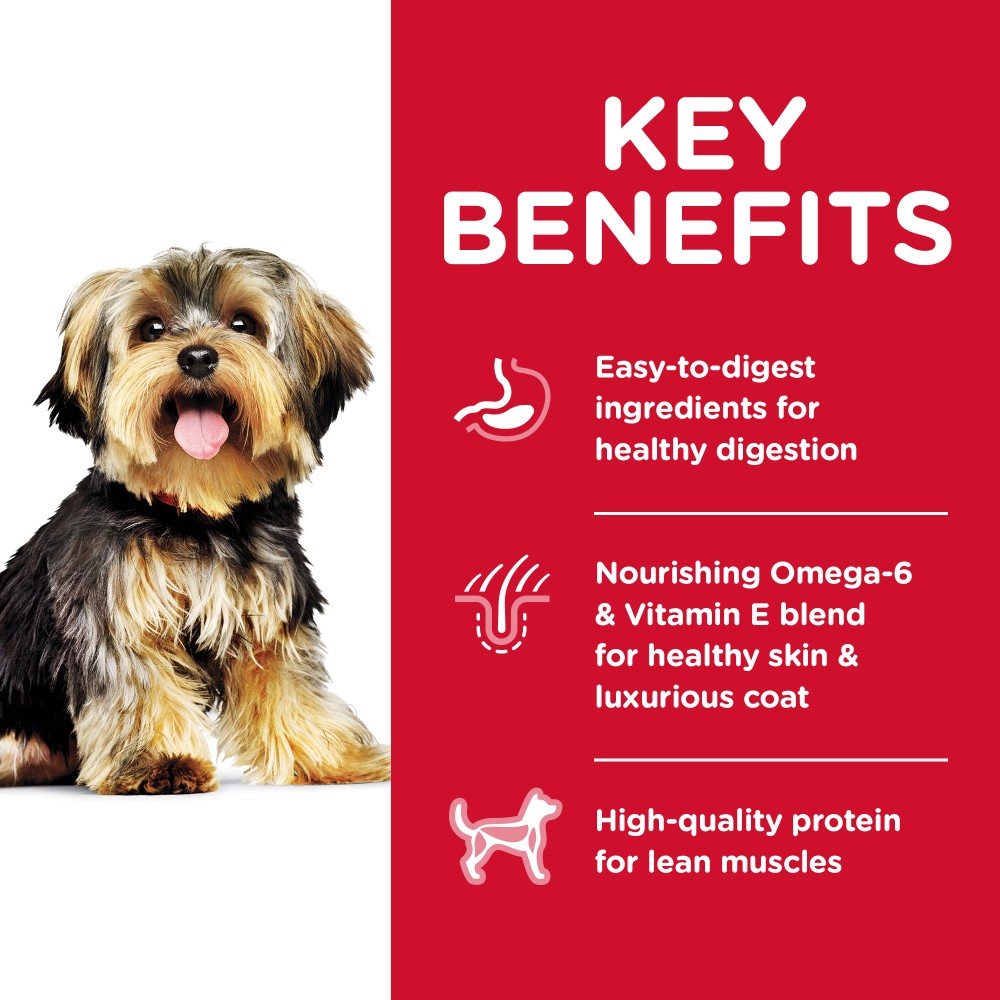Hills Science Diet Adult Small and Mini Chicken and Rice Dry Dog Food
