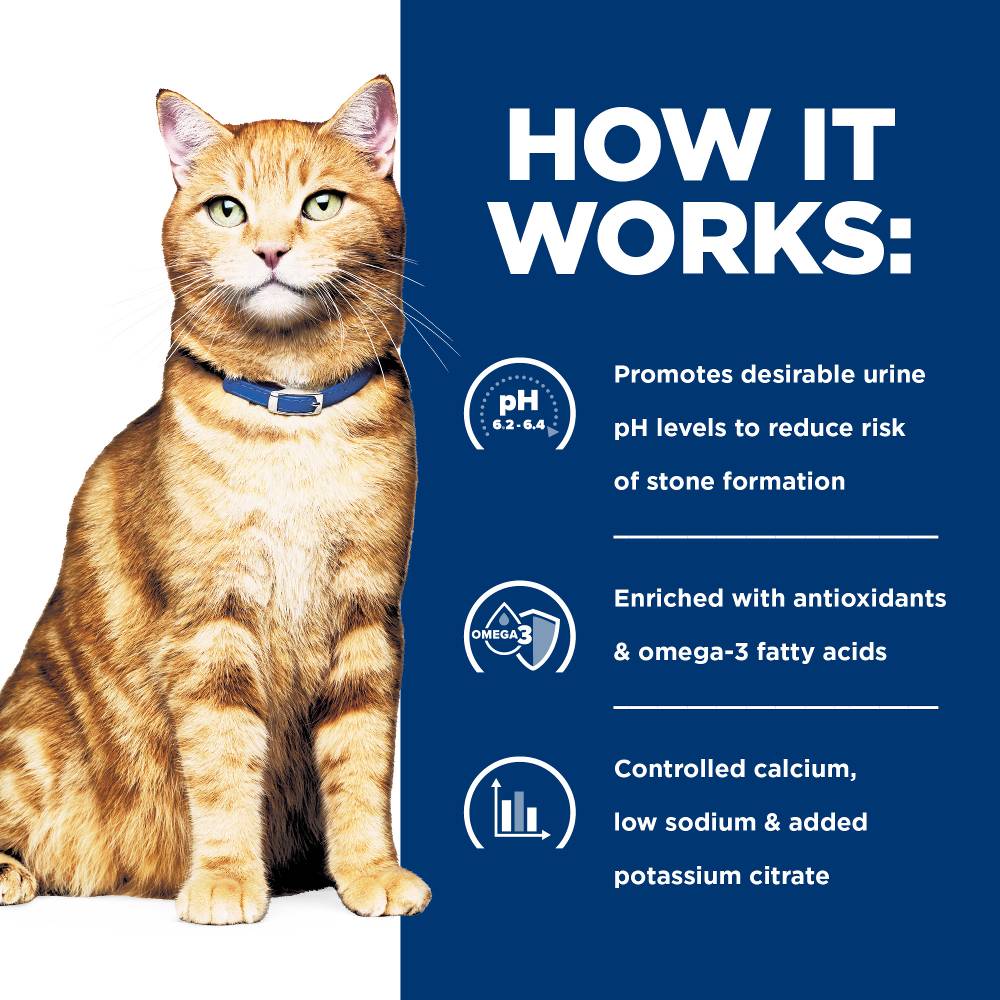 Hills Prescription Diet c/d Multicare Urinary Care Dry Cat Food