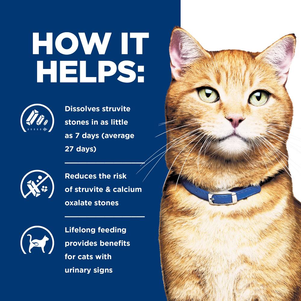 Hills Prescription Diet c/d Multicare Urinary Care Dry Cat Food