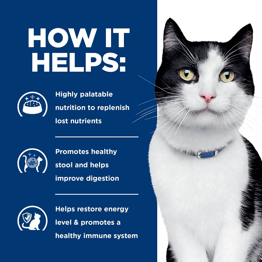 Hills Prescription Diet i/d Digestive Care Dry Cat Food
