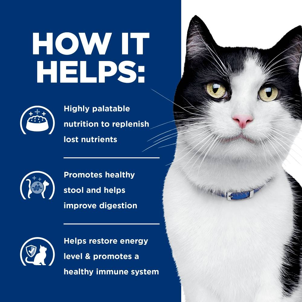 Hills Prescription Diet i/d Digestive Care Chicken Cat Food Pouches