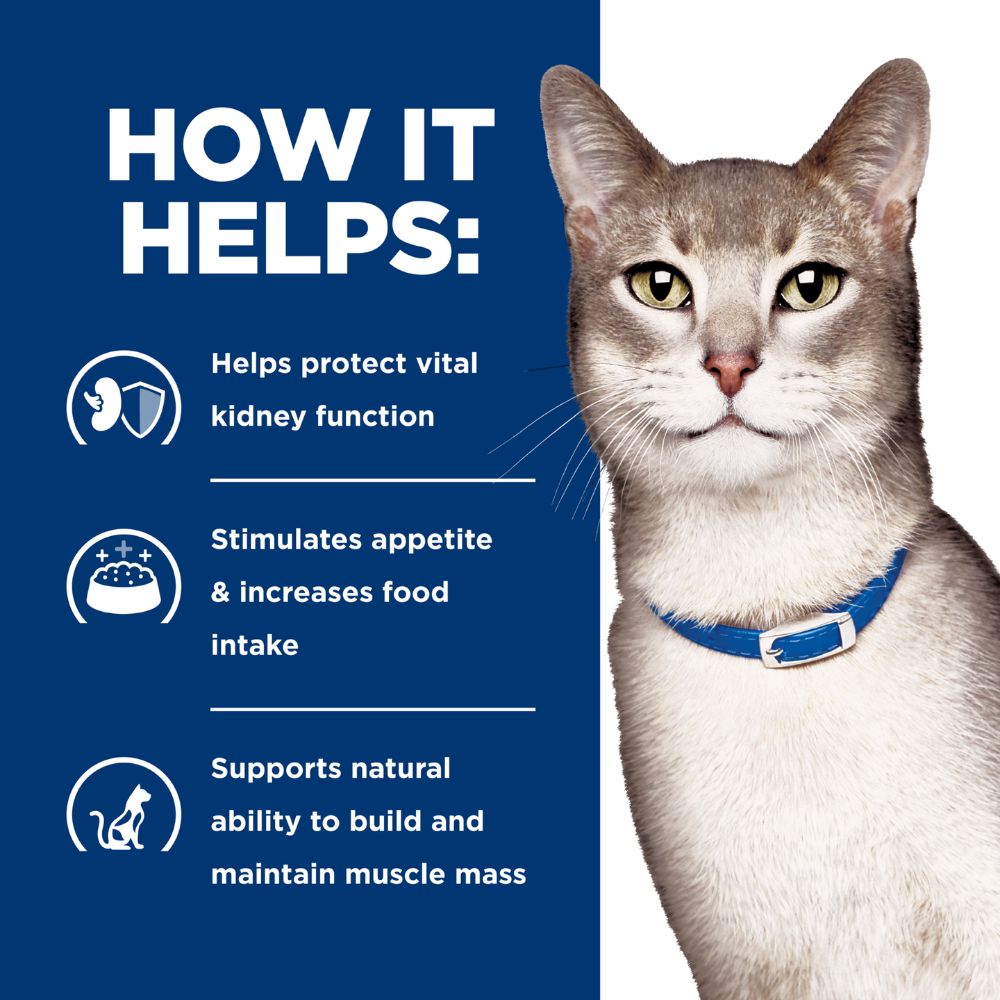 Hills Prescription Diet k/d Kidney Care Salmon Cat Food Pouches