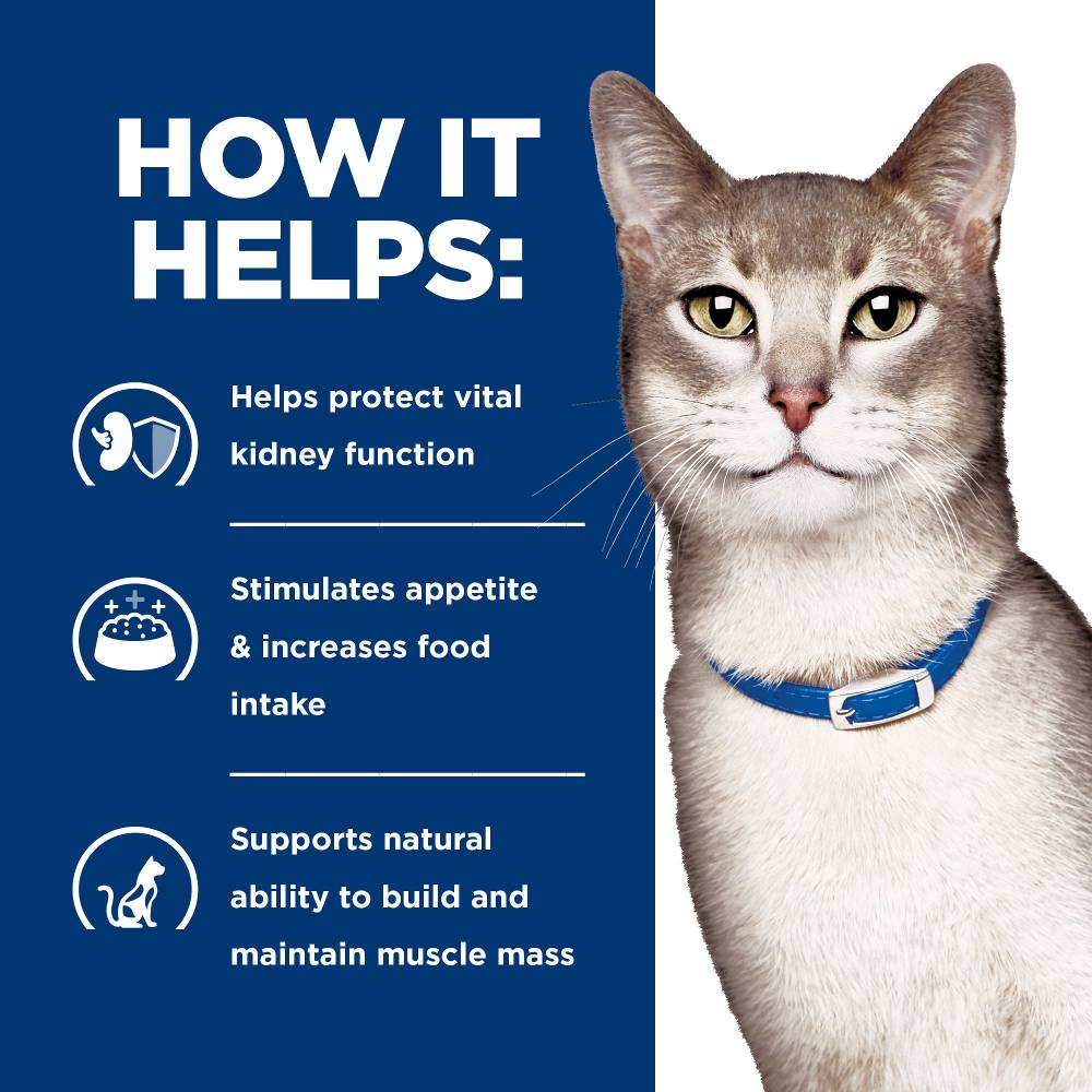 Hills Prescription Diet k/d Kidney Care Tuna Pate Canned Cat Food