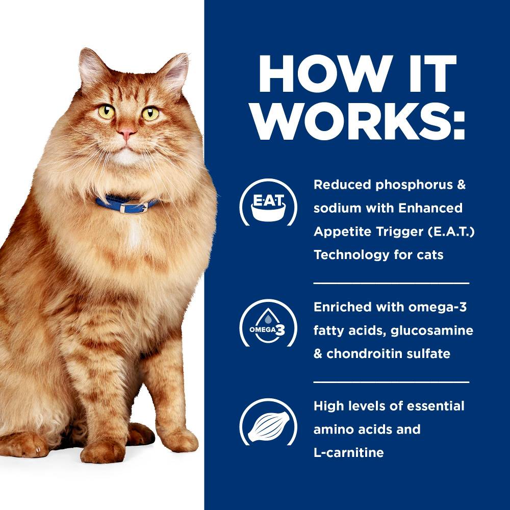 Hills Prescription Diet k/d Kidney Care Plus j/d Mobility Dry Cat Food