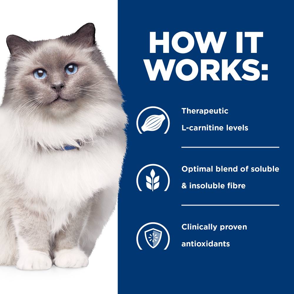 Hills Prescription Diet r/d Weight Loss Dry Cat Food