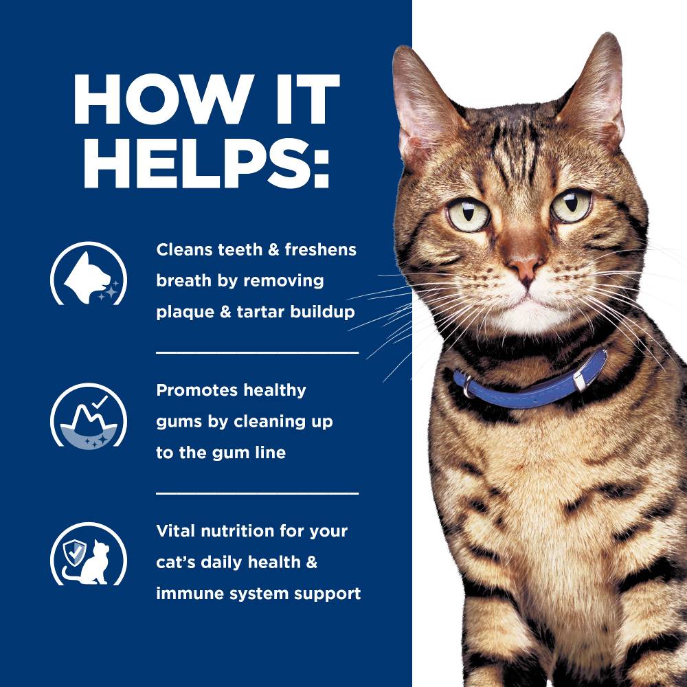 Hills Prescription Diet t/d Dental Care Dry Cat Food