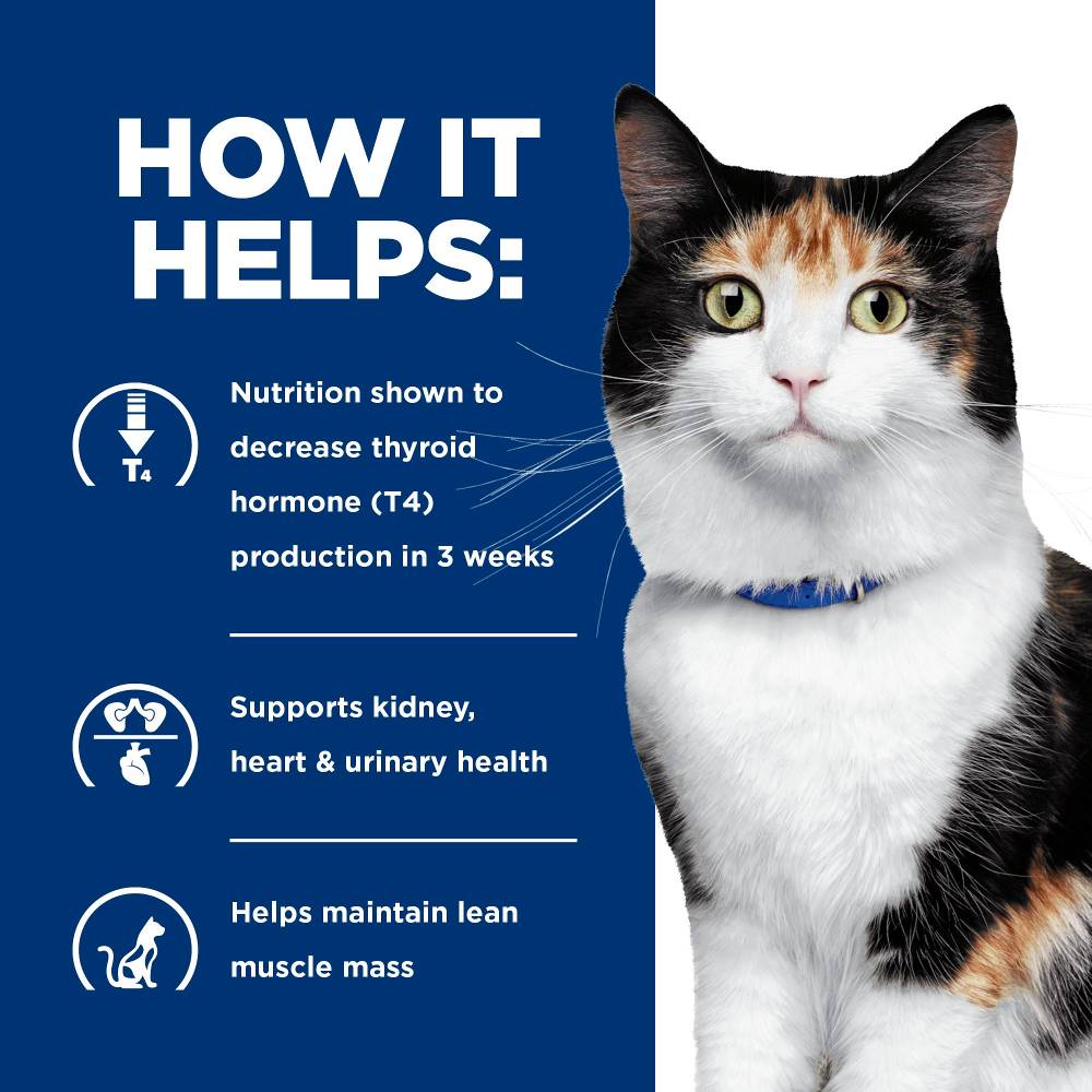 Hills Prescription Diet y/d Thyroid Care Dry Cat Food