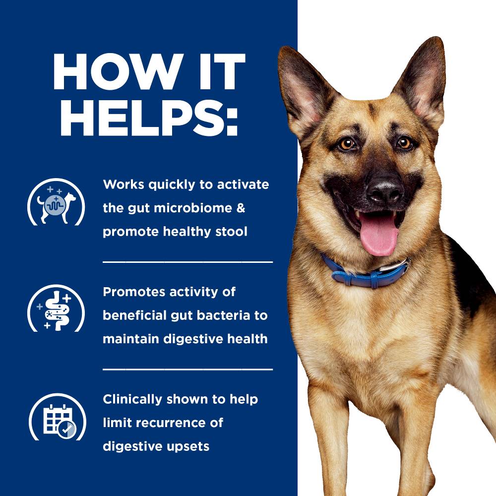 Hills Prescription Diet Gastrointestinal Biome Digestive Fiber Care Dry Dog Food